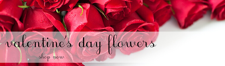 Valentine's Day Banner