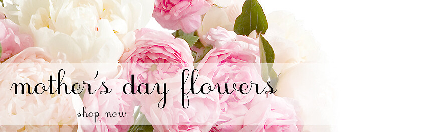Mother's Day Banner