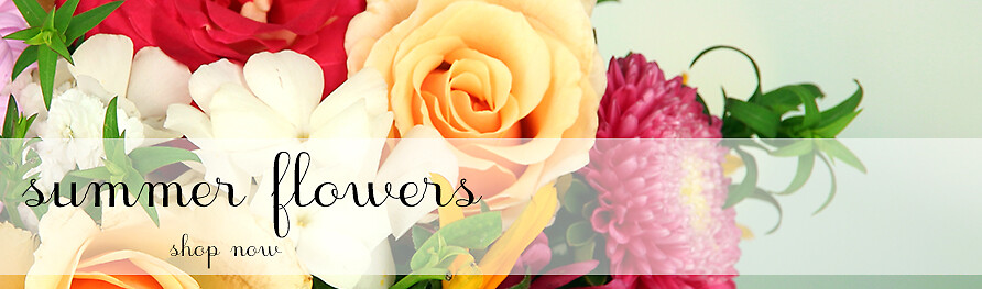 Summer Banner