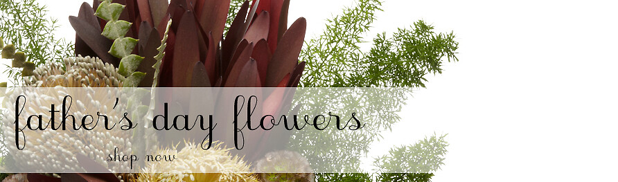 Father's Day Banner