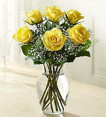 Love&#039;s Embrace™ Roses – Yellow