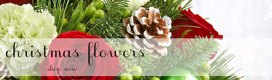 Christmas Banner