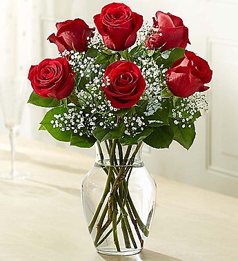 Love&#039;s Embrace™ Roses - Red